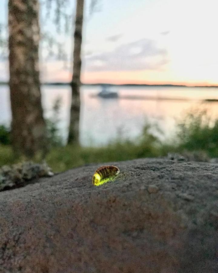 Koskenselkae Puumala