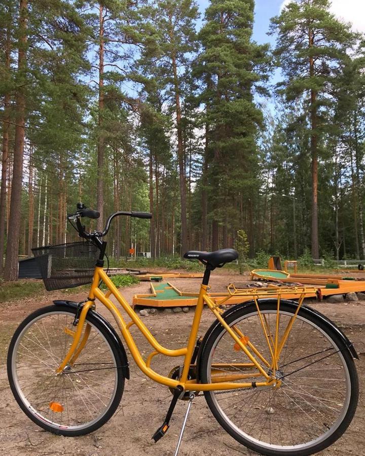 Koskenselkae